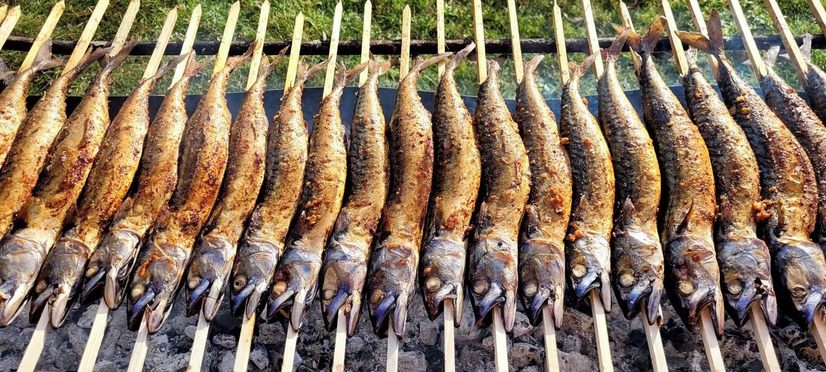 Přístaviště U Surfaře — fotka podniku