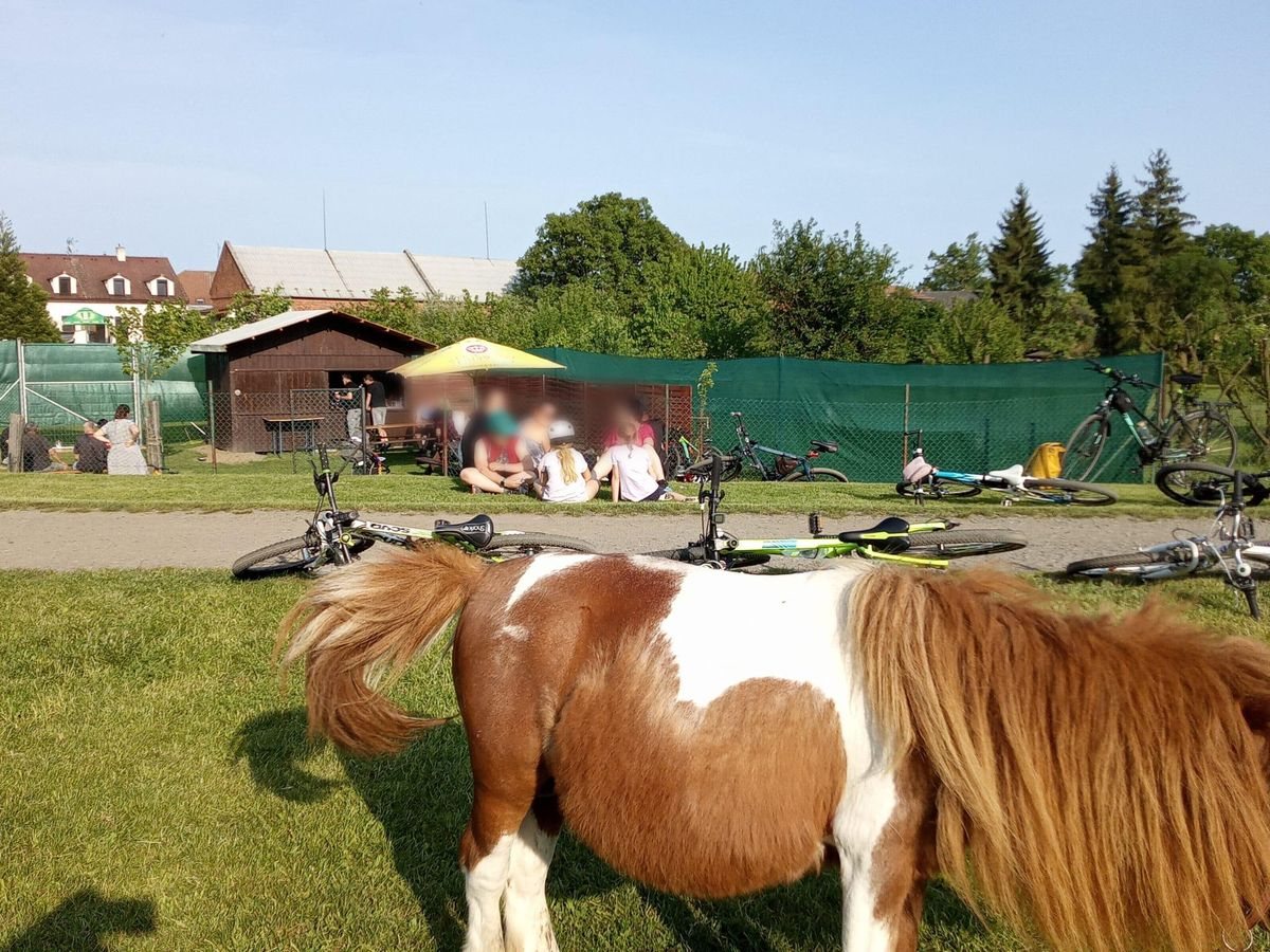 Přístaviště U Surfaře — fotka 6