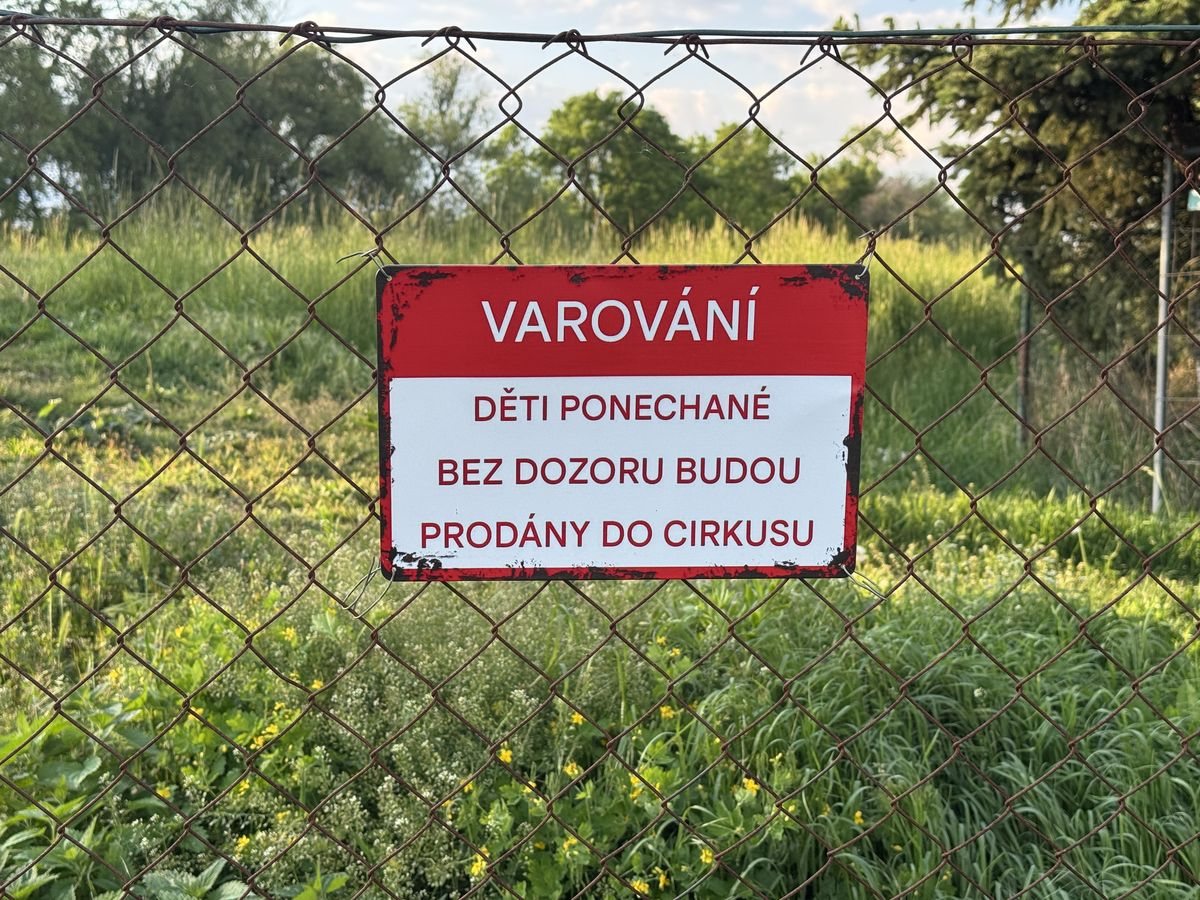 Přístaviště U Surfaře — fotka 8